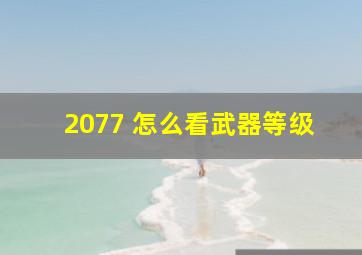 2077 怎么看武器等级